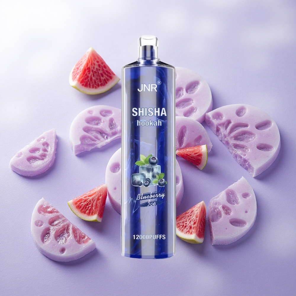 Arándano Azul Hielo JNR Shisha Hookah 12000 Puffs Batería 750mAh Chile wholesale