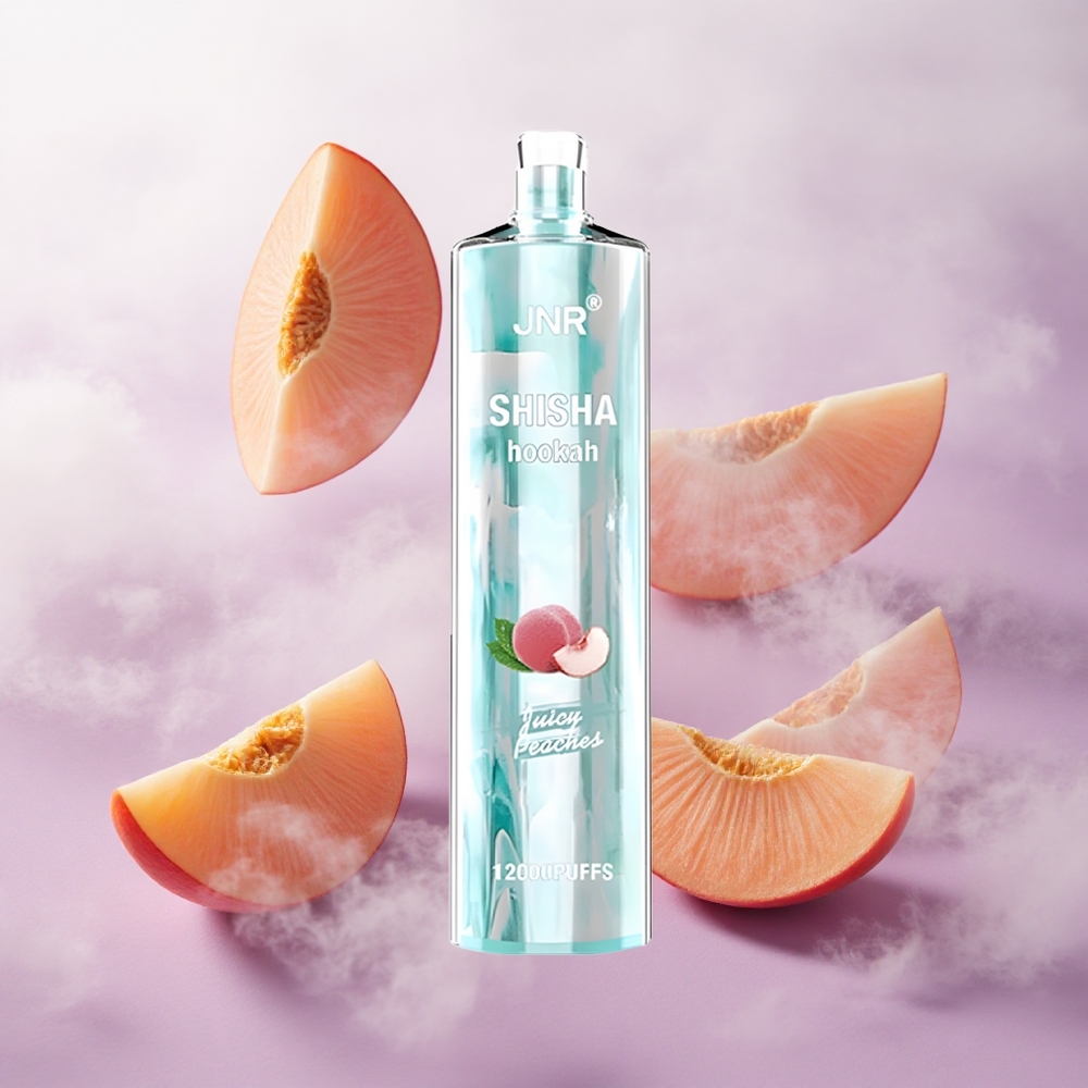 Melocotones Jugosos JNR Shisha Hookah 12000 Puffs Batería 750mAh Chile wholesale
