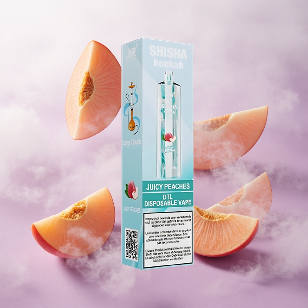 Melocotones Jugosos JNR Shisha Hookah 12000 Puffs Batería 750mAh Chile wholesale