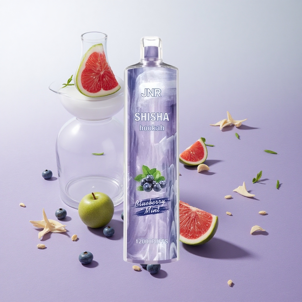 Menta Arándano JNR Shisha Hookah 12000 Puffs 24ml Chile wholesale